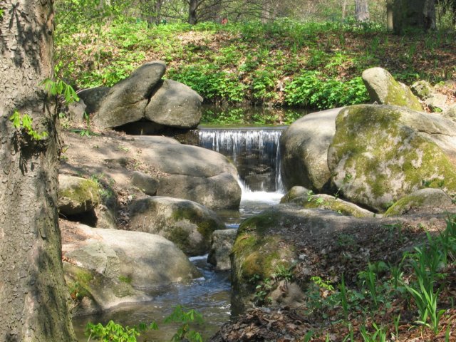 photo11.jpg