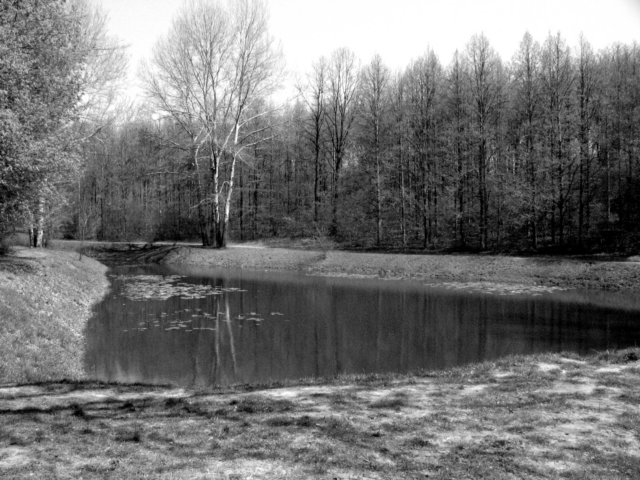 photo4.jpg