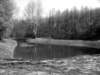 photo4_small.jpg