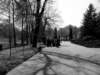 photo5_small.jpg