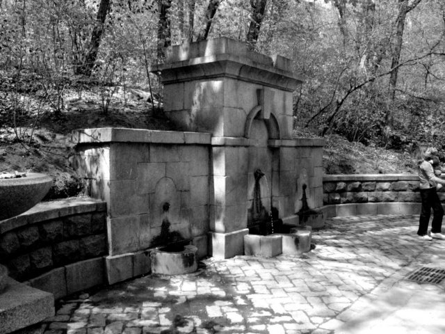 photo6.jpg